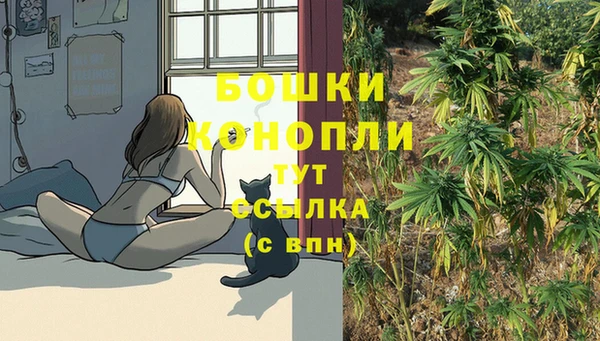 мдпв Красноперекопск