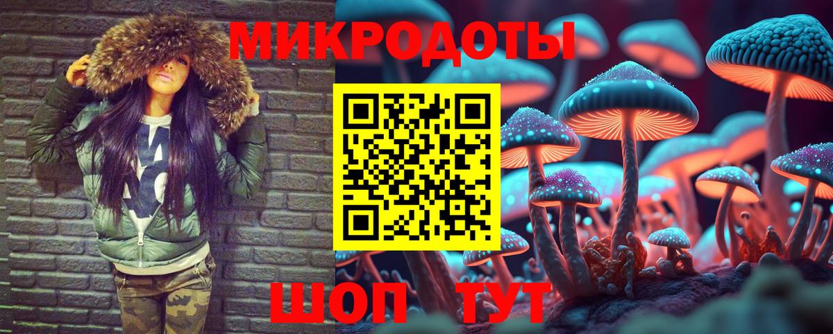 Галлюциногенные грибы Psilocybine cubensis Прокопьевск