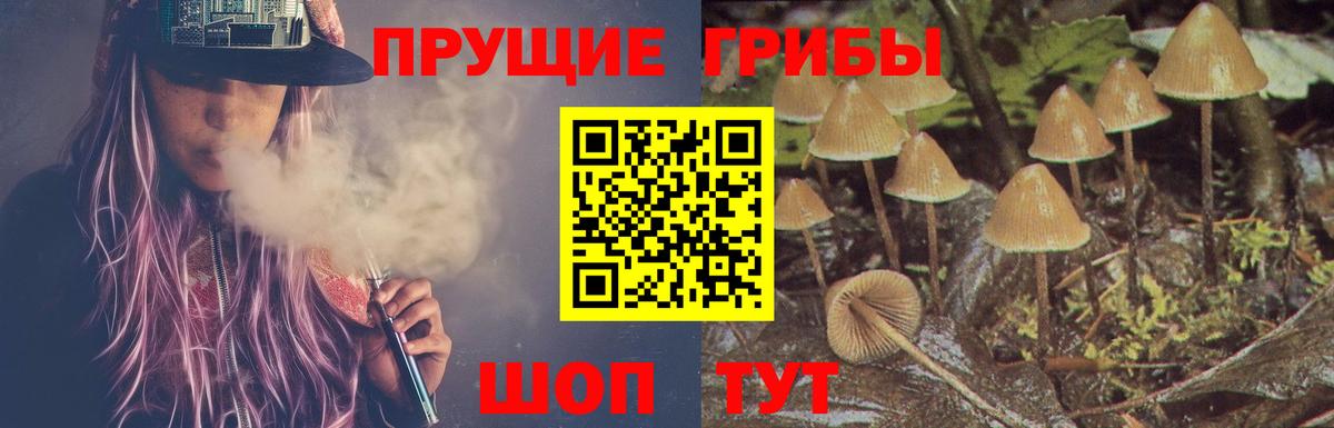 Галлюциногенные грибы Cubensis  что такое   Галлюциногенные грибы Psilocybine cubensis  Прокопьевск  Вход с VPN 